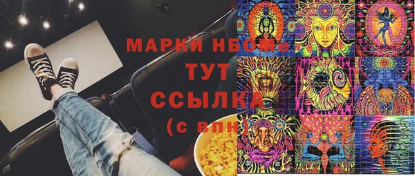 ПСИЛОЦИБИНОВЫЕ ГРИБЫ Инсар