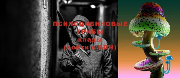 молекула духа Иннополис