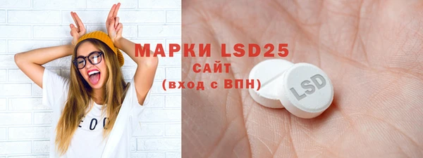 ПСИЛОЦИБИНОВЫЕ ГРИБЫ Инсар