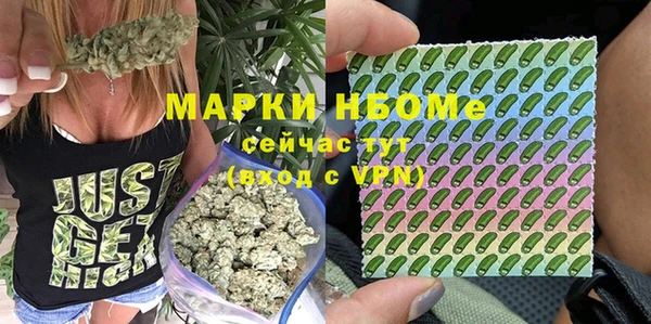 молекула духа Иннополис