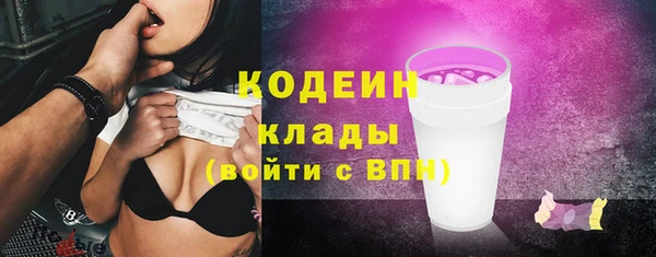 ПСИЛОЦИБИНОВЫЕ ГРИБЫ Инсар
