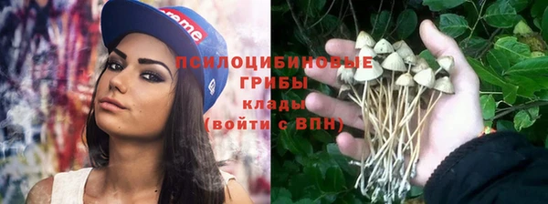 ПСИЛОЦИБИНОВЫЕ ГРИБЫ Инсар