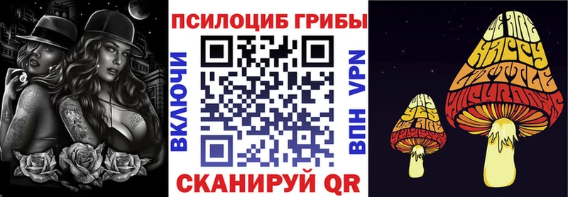 Галлюциногенные грибы Psilocybine cubensis  Купить где  Нижняя Тура 