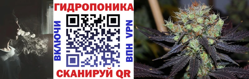 Каннабис планчик  Купить закладки  Нижняя Тура 